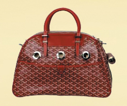 럭셔리 브랜드 도입 아직도 …ing? 603-Image