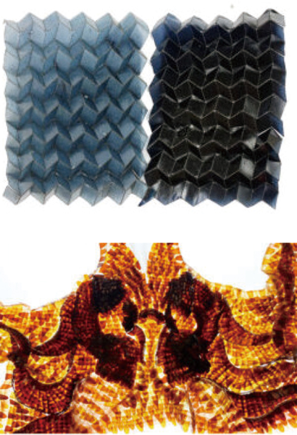 환경과 공존, 미래 패션 개발 확장 843-Image