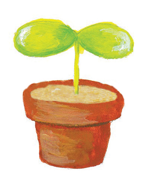 07/08 신규 브랜드 유망주는 누구? 662-Image