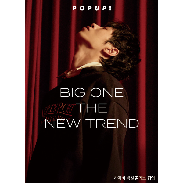 브랜디 ‘하이버’ 올해 2000억 GO<br>남자들의 쇼핑 고민 해결사 287-Image