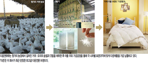 최고급 다운 소재 「더즌」 출시 455-Image