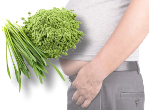 '따따베 한자연 유기농 새싹보리' 세트 프로모션 진행 3-Image