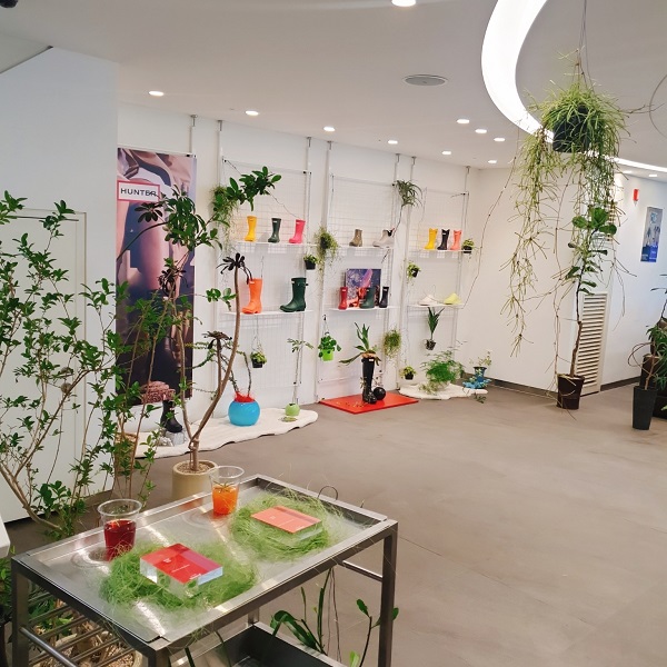 레인부츠 헌터, 플랜테리어 한남 플래그십스토어 오픈 2217-Image