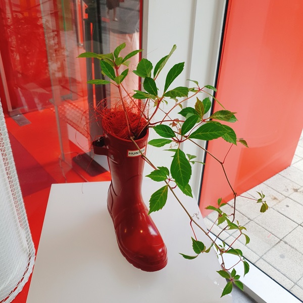 레인부츠 헌터, 플랜테리어 한남 플래그십스토어 오픈 855-Image