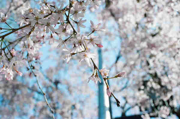 리모와, 사진 작품전 '뉴호라이즌' 공개 648-Image