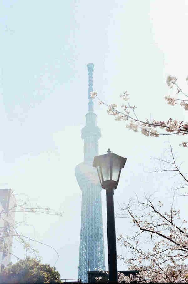 리모와, 사진 작품전 '뉴호라이즌' 공개 1210-Image