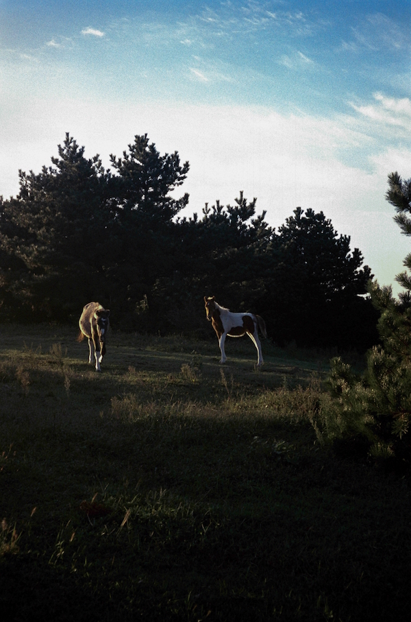리모와, 사진 작품전 '뉴호라이즌' 공개 1052-Image