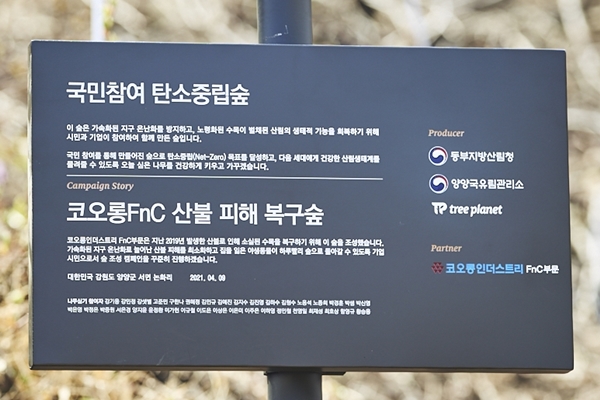 코오롱FnC, 강원 산불 피해지역에 숲 조성 584-Image
