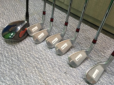 김락기 대표, 골프 피팅 전문가로 변신 846-Image