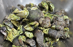 끝나지 않은 '삼시세끼' 열풍 화제! 952-Image