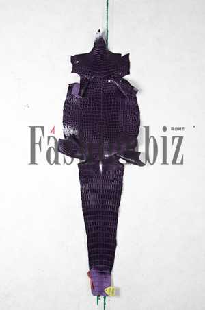 악어 타조 등 특수 피혁의 세계 261-Image