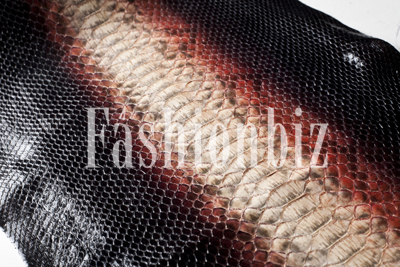 악어 타조 등 특수 피혁의 세계 1705-Image