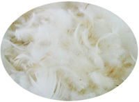 최고급 다운 소재 「더즌」 출시 891-Image