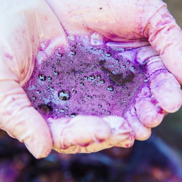 박린준 디자이너, 해녀들과 군소 활용 염색 협업 1584-Image