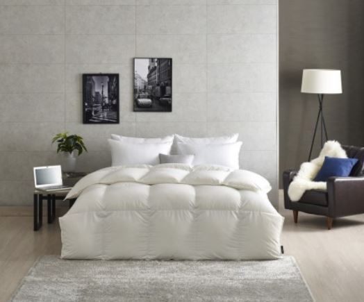 「알레르망」 상위 1% 구스 선별한 프레스티지 라인을 672-Image