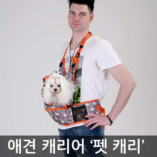 애견인구를 위한 필수 아이템, 반려견 캐리어 ‘펫캐리’ 출시 251-Image