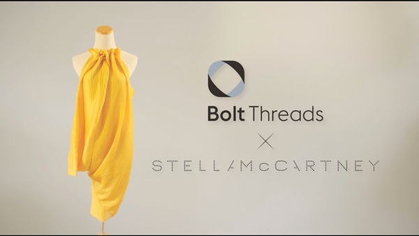 버섯에서 원단으로…  美  볼트 스레드 상장 임박 3-Image