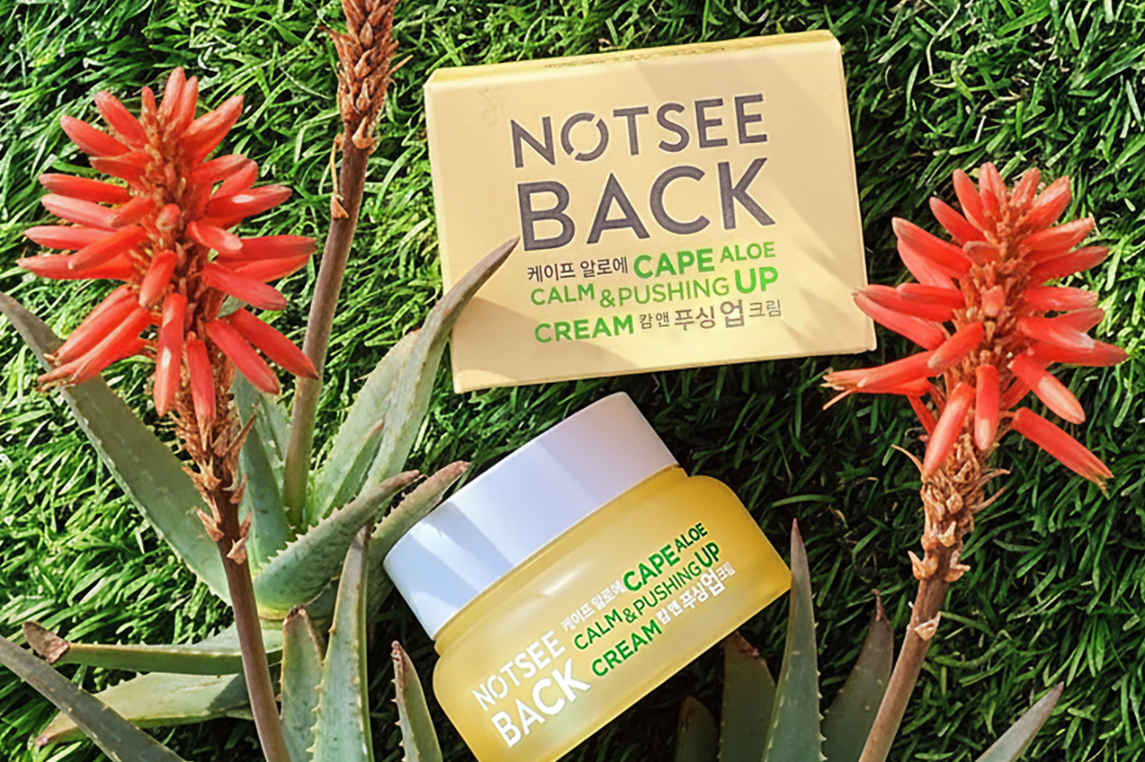 낫씨백, 신제품 '케이프 알로에 캄 앤 푸싱 업 크림' 출시 - 뉴스 썸네일 이미지