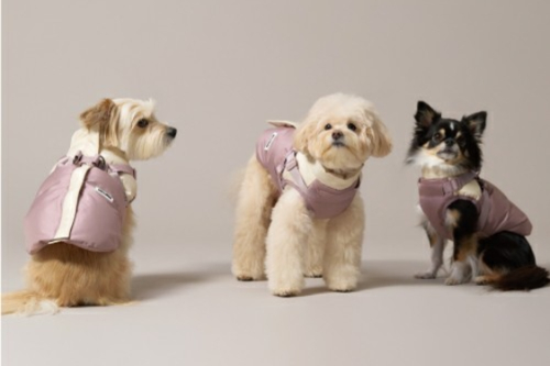 밀리옹 패딩하네스, 출시 직후 완판 행진··· 예약 판매도 조기 마감 - 뉴스 썸네일 이미지