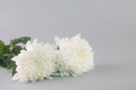 [부고] 이지은 더블유컨셉코리아 대표 시부상 - 뉴스 썸네일 이미지