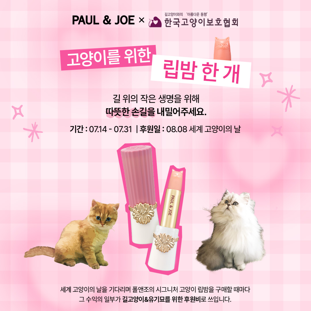 폴앤조보떼, 세계 고양이의 날 기념 기부 캠페인 전개 27-Image