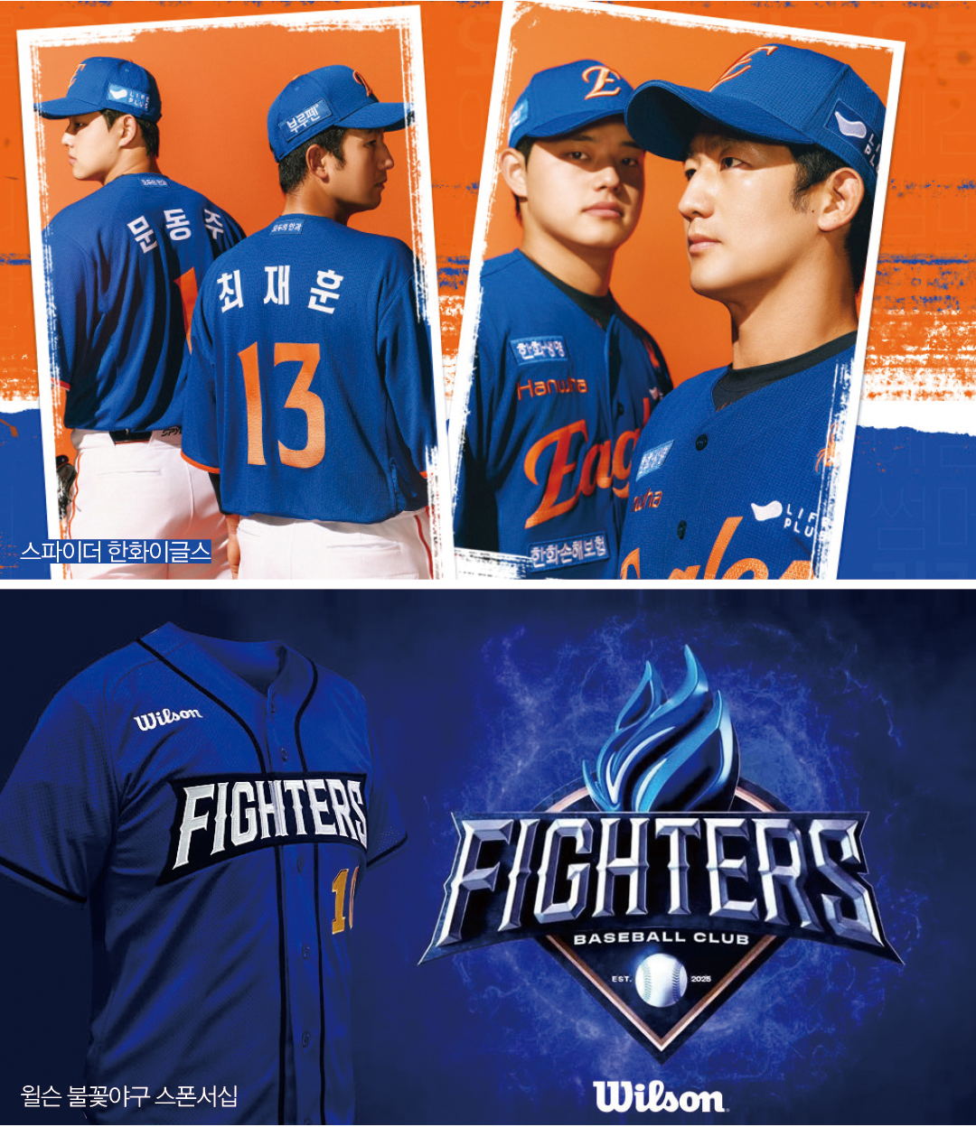 [2025 스포츠 마켓 ➌] 마니아 · 팬심 겨냥 ‘콘텐츠’ 강화  5331-Image