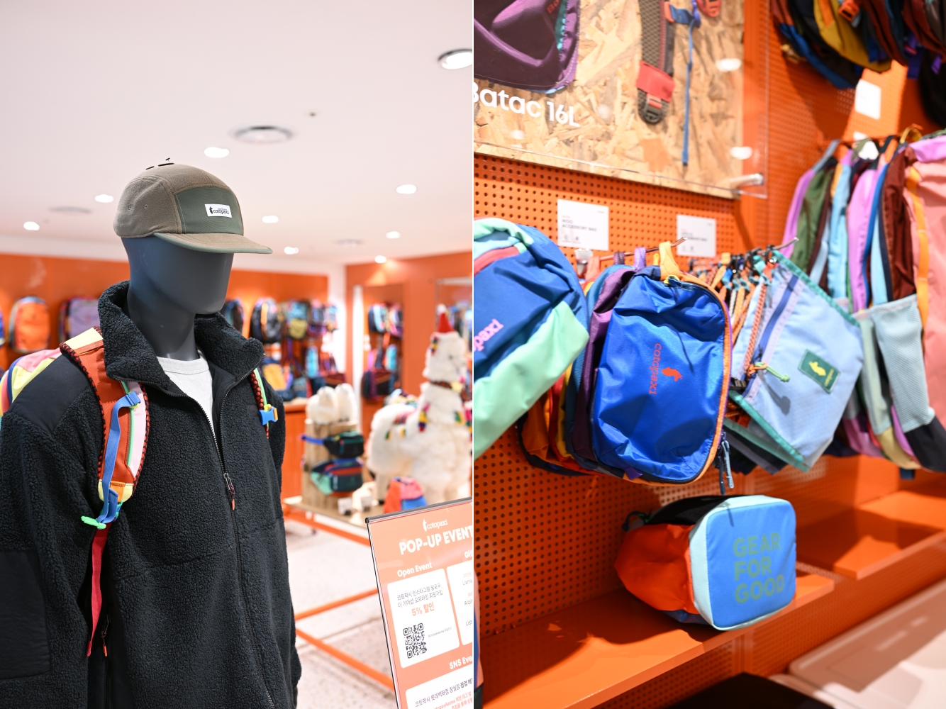 코토팍시, 롯데 잠실점서 한국 첫 단독 팝업스토어 오픈 2152-Image