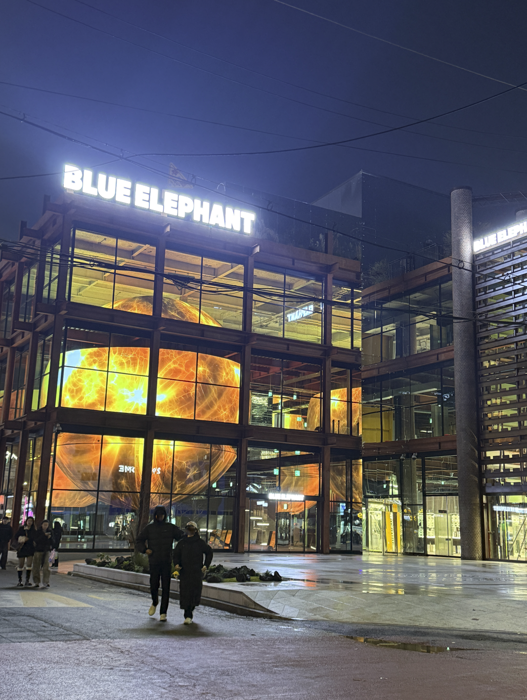 블루엘리펀트 스페이스 성수 오픈··· 스포츠 라인 ‘ACTIVE’ 공개 27-Image