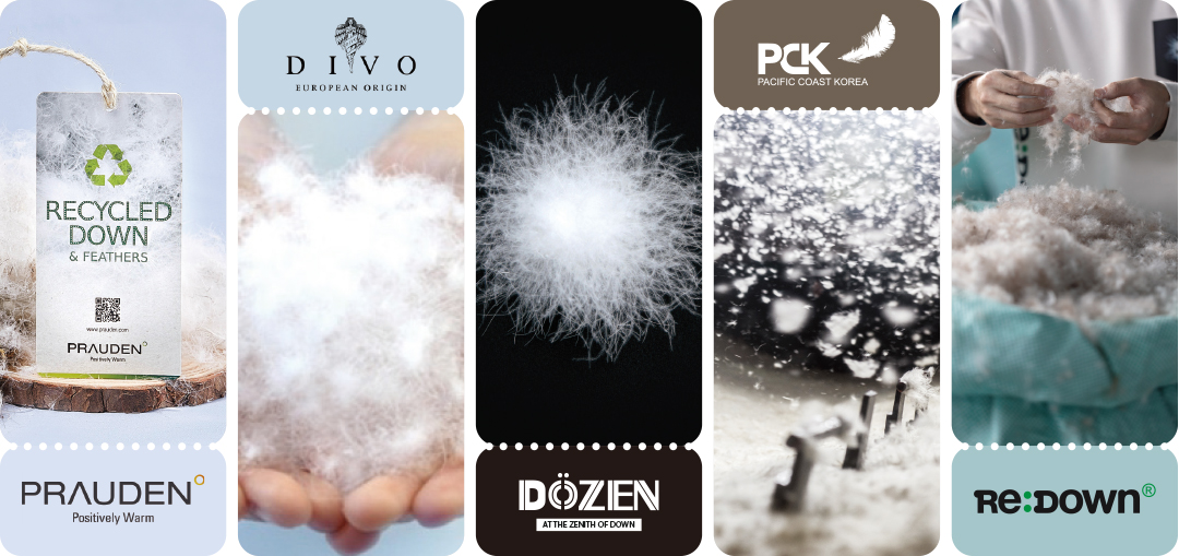 '가격 경쟁 → 품질 중심 재편' 2026 다운 시장 대응 전략은? 291-Image