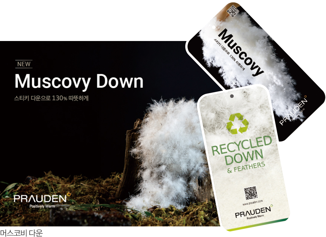 '가격 경쟁 → 품질 중심 재편' 2026 다운 시장 대응 전략은? 1370-Image