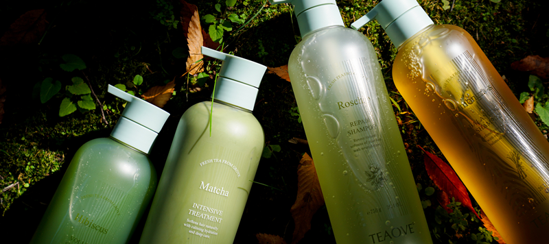 차(Tea)와 숲(Grove)의 감성을 담은 ‘티오브’ 스파 감성 헤어케어 브랜드로 출범 1197-Image