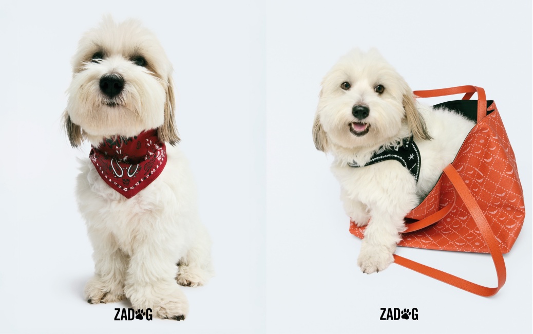 반려견도 럭셔리하게… 쟈딕앤볼테르, '쟈독' 컬렉션 공식 론칭 1223-Image