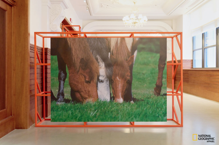 [칼럼] 김종면 I 탐험의 가치를 입다, 내셔널지오그래픽 어패럴 (6) 651-Image